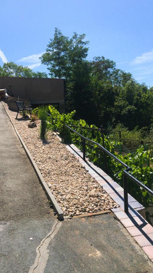 Schlossberg Apartments & Garten In Der Natur & Unweit Vom "Thueringer Meer" Unterwellenborn Exterior photo